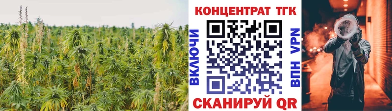 ОМГ ОМГ ТОР  Ялта  Дистиллят ТГК гашишное масло 